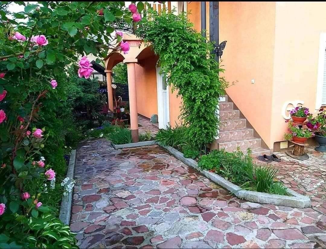 Apartmani Gs ***** Zavidovici エクステリア 写真