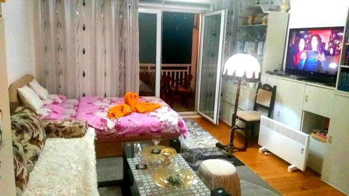 Apartmani Gs ***** Zavidovici エクステリア 写真